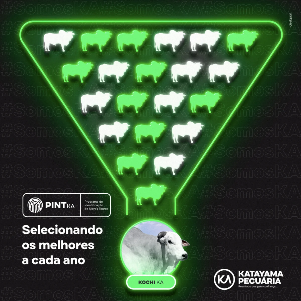 Katayama Pecuária imagem 1
