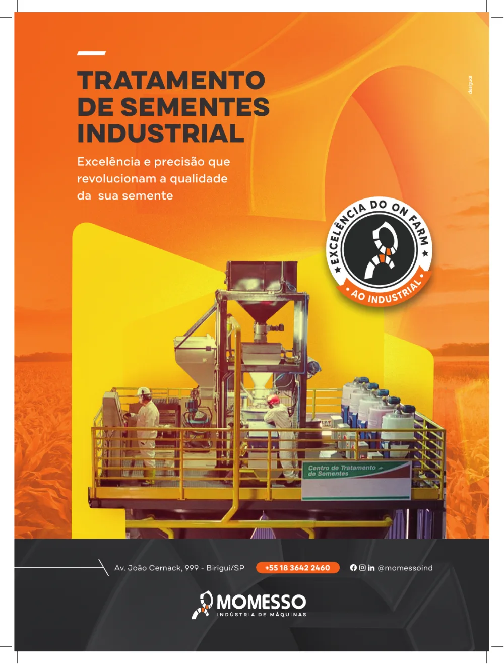 Momesso 60 anos imagem 2