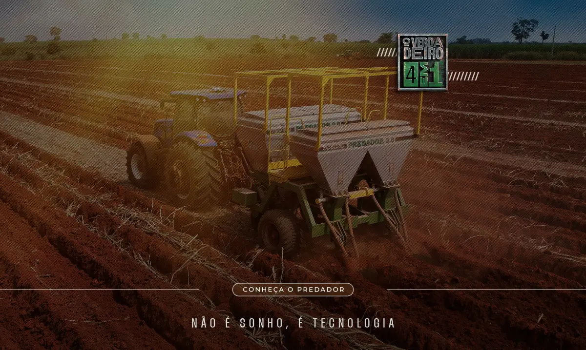 Carderoli imagem 1