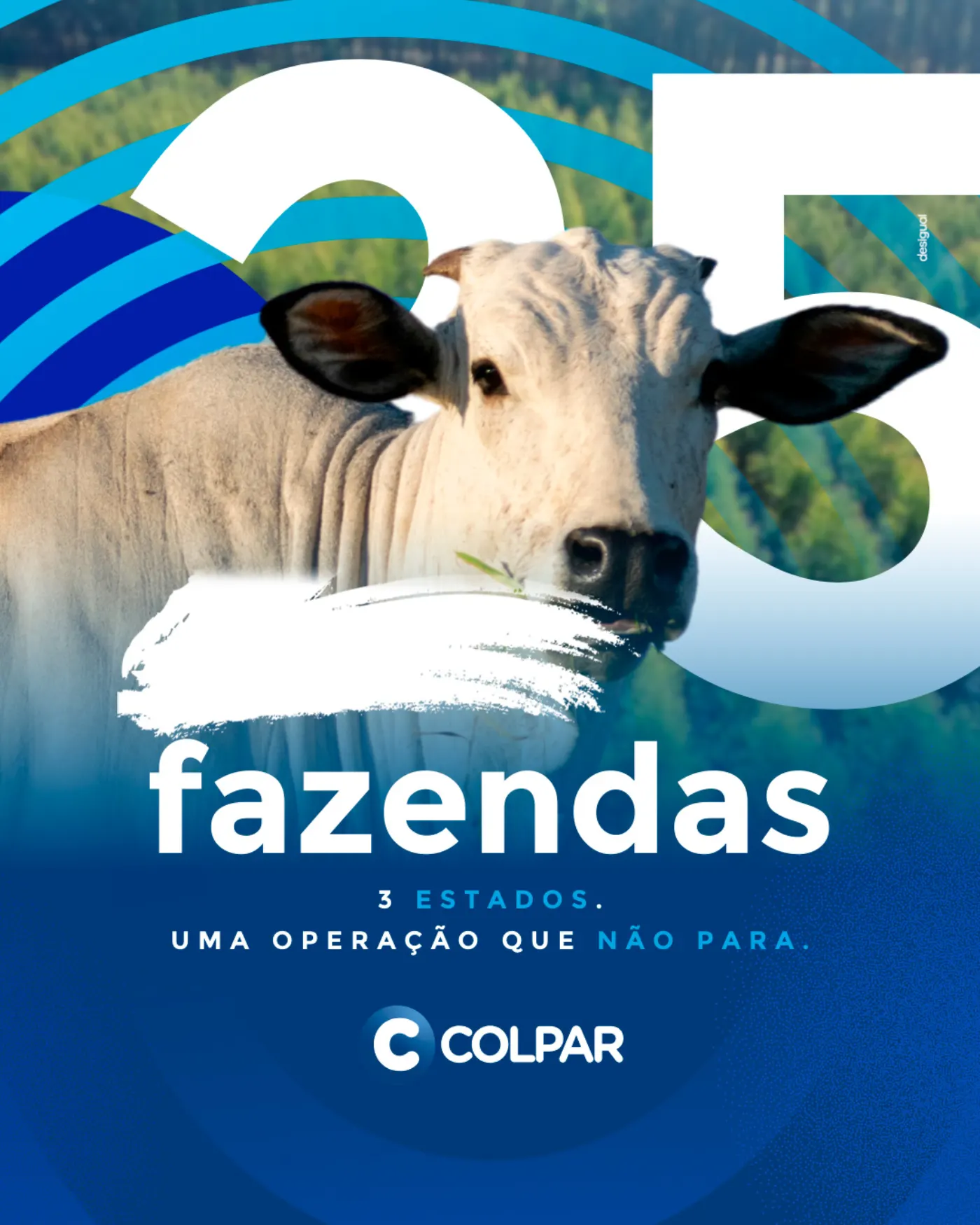 Colpar imagem 2