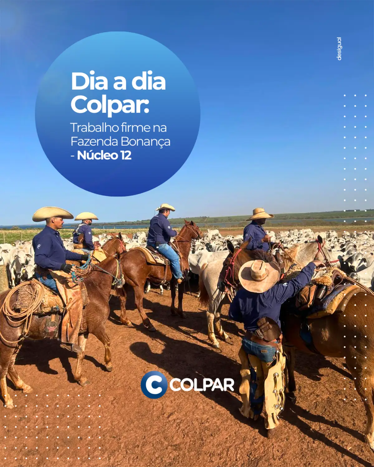 Colpar imagem 3