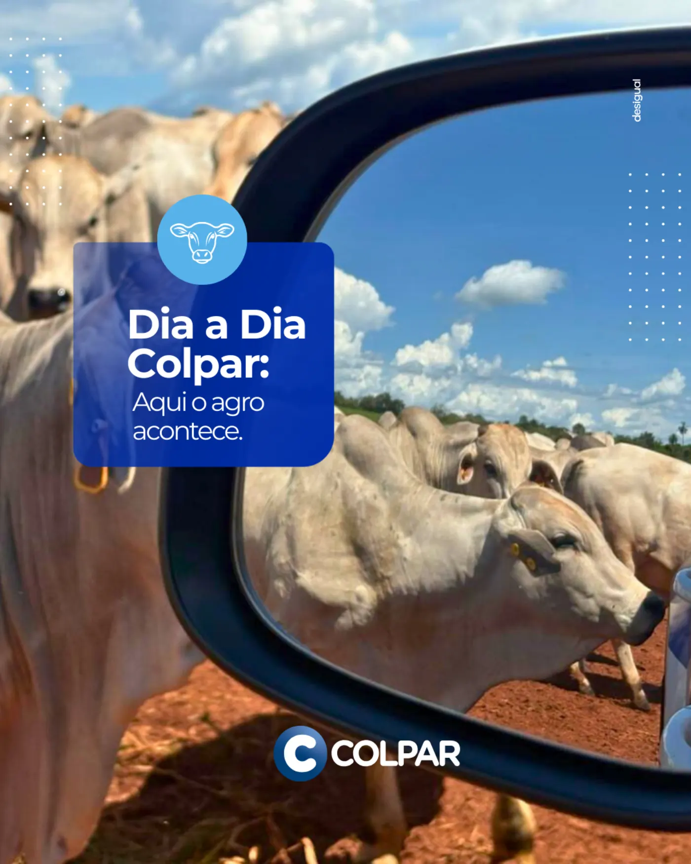 Colpar imagem 5