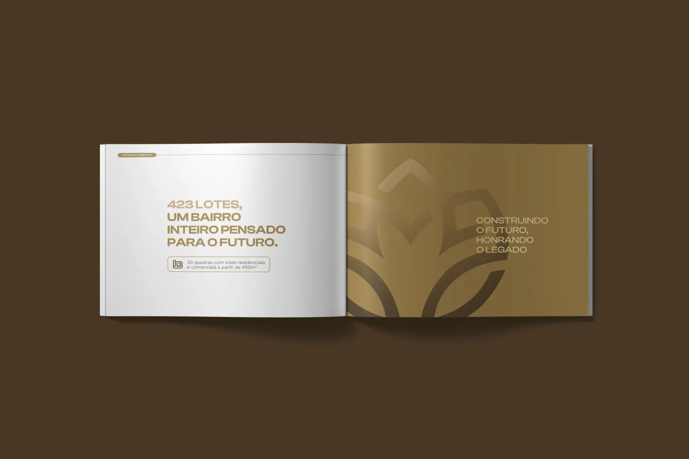 Jardim das Américas X imagem 2
