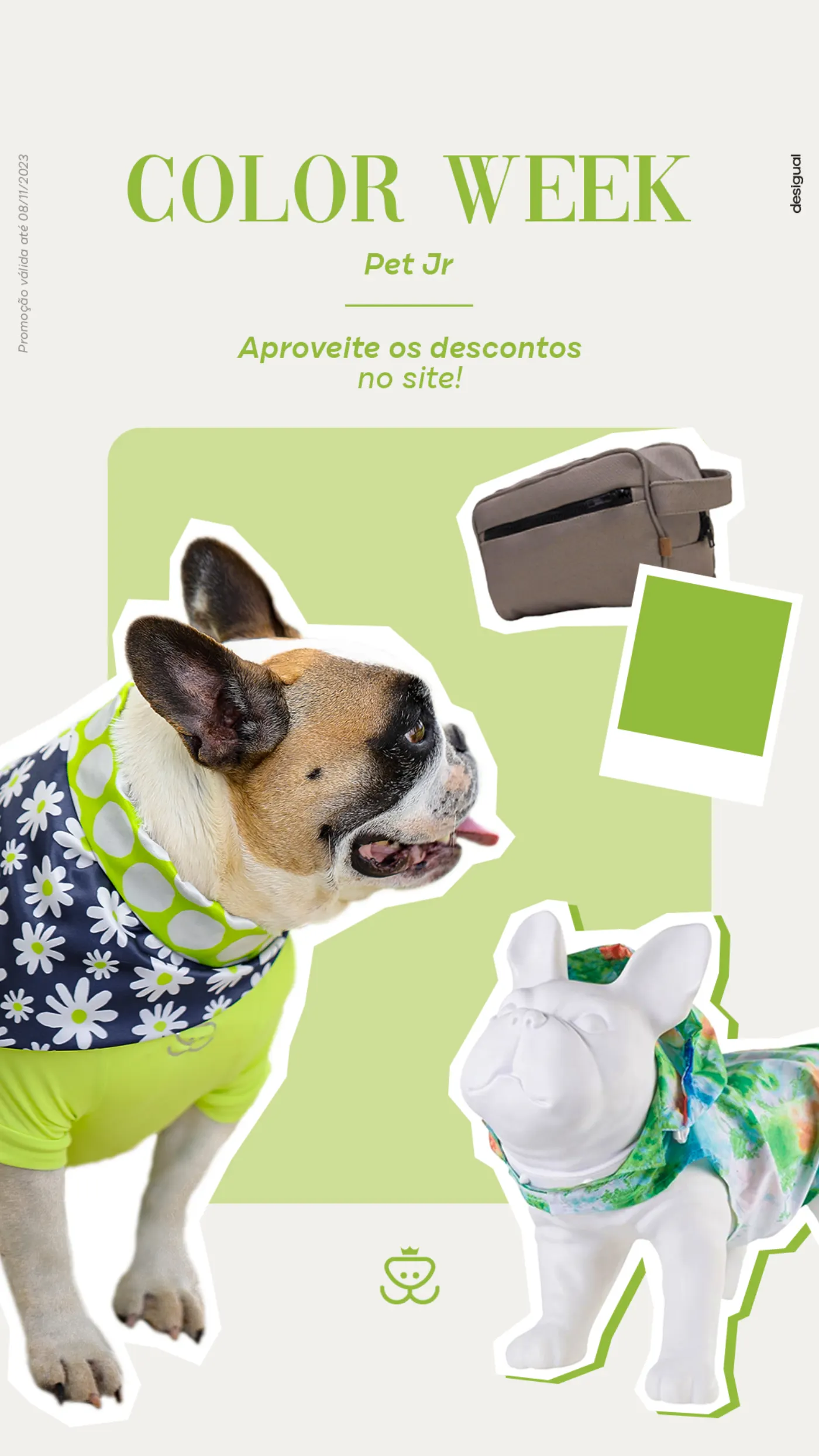 PetJr imagem 6