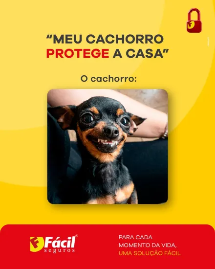 帖子・fácil seguros